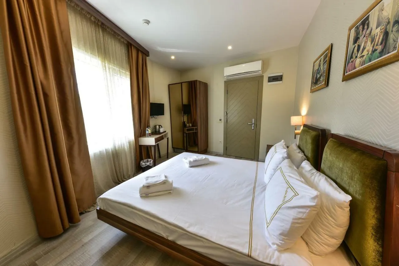 Almina Guest House Istanbulská provincie 2*,